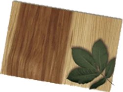 Hickory veneer sample